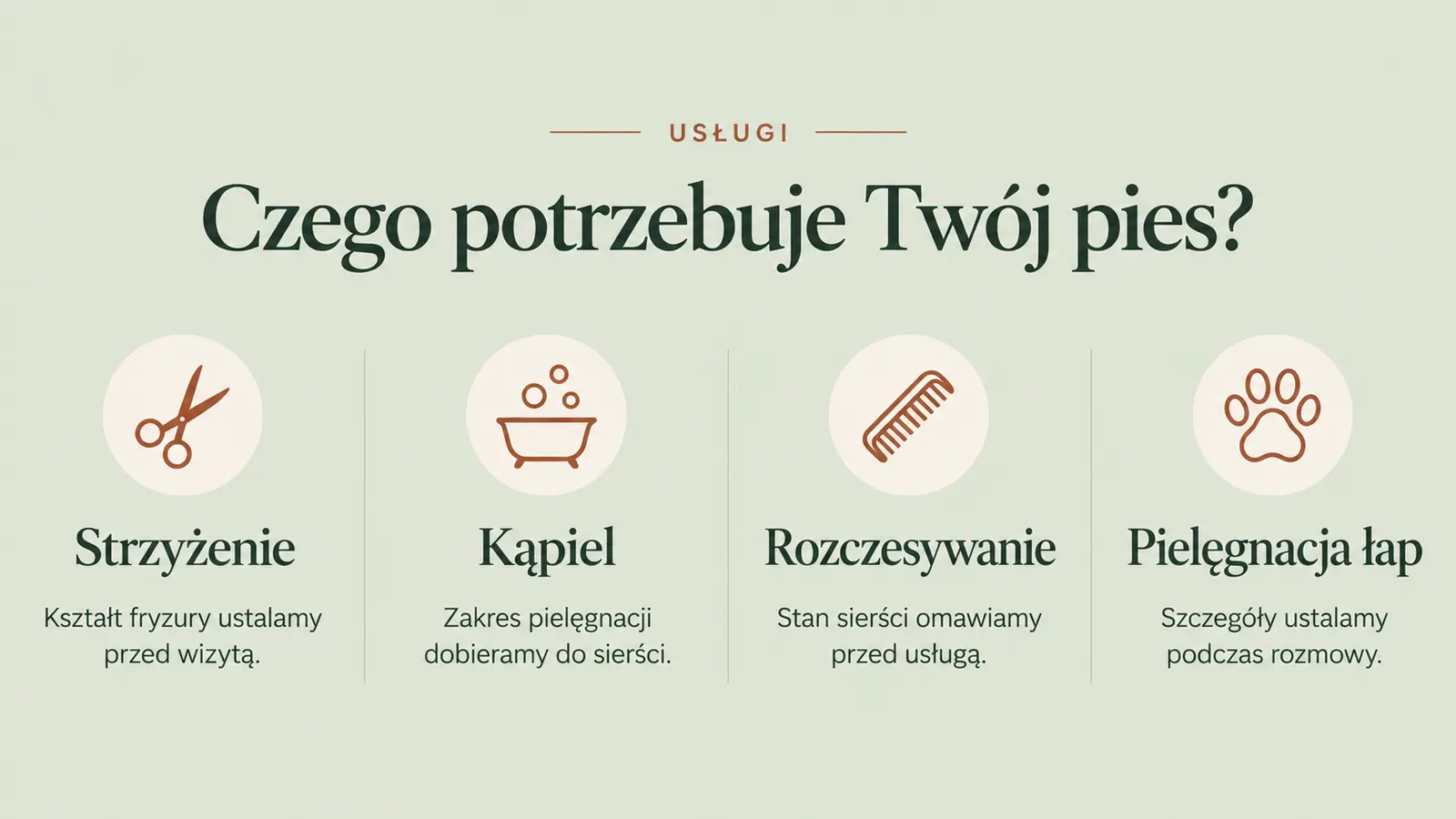 Projekt szablonu Klasyczny dla groomera — sekcja Usługi