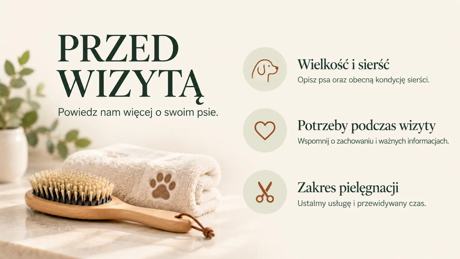 Projekt szablonu Klasyczny dla groomera — sekcja Przed wizytą