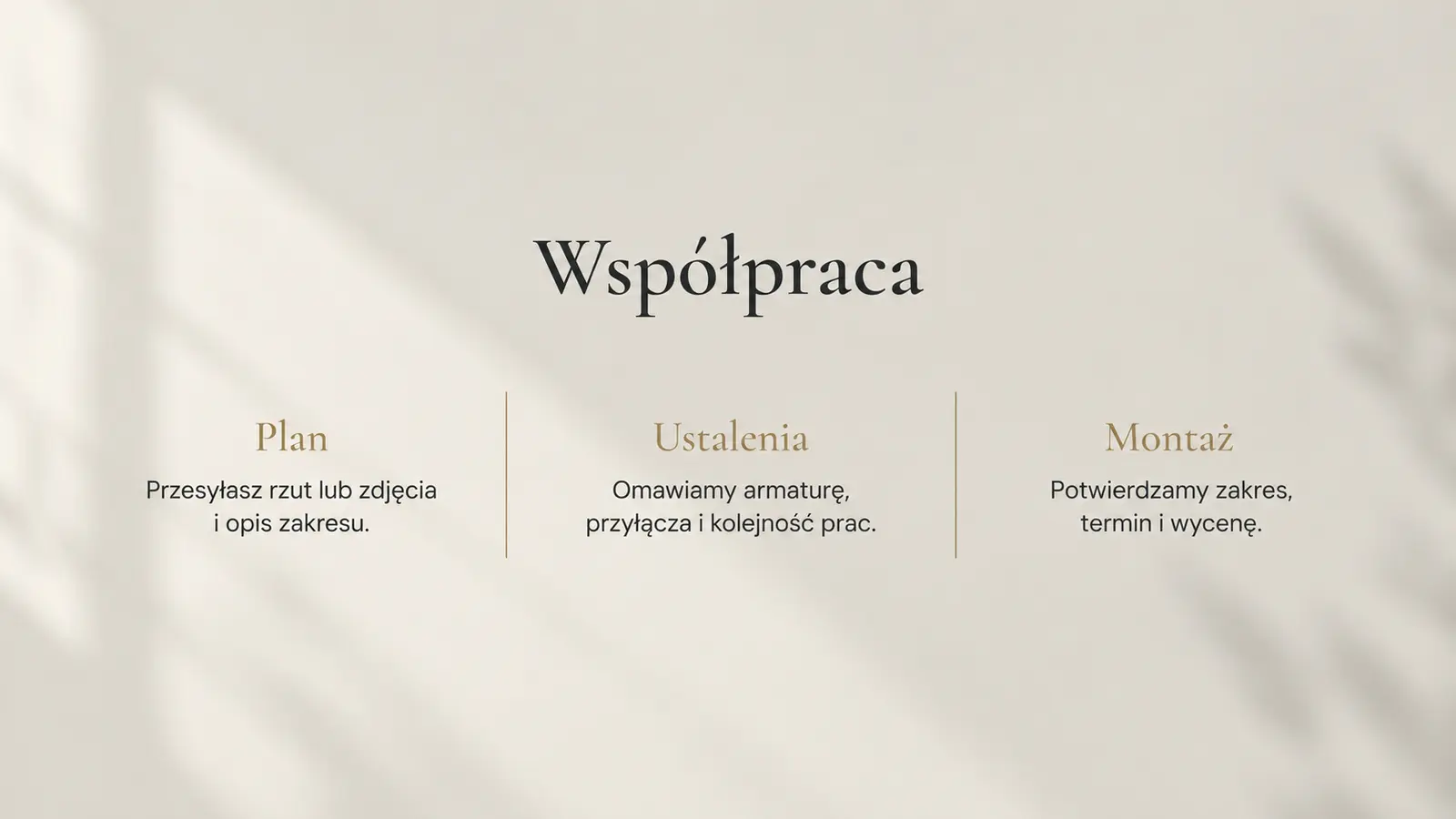 Projekt szablonu Premium dla hydraulika — sekcja Ustalenia projektowe
